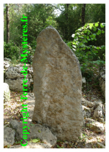 Forêt de Nébias menhir debout remarquable