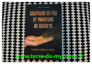 Comment devenir coupeur de feu : un livre pour apprendre