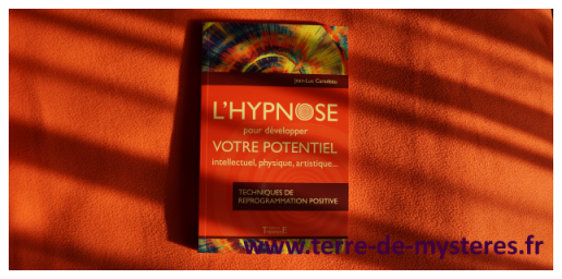 Techniques de reprogrammation positive par l'hypnose ou l'autoypnose pour développer notre potentiel intellectuel, physique et artistique