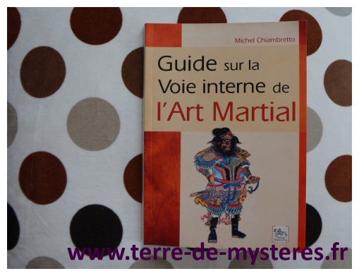 Voie interne de l'art martial : le guide