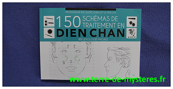 Réflexologie faciale : 150 schémas de traitement en Dien Chan